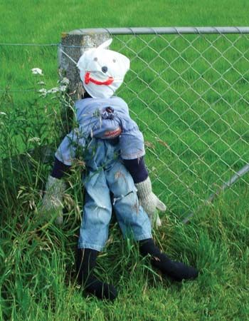 Levou a namorada do amigo pro motel e fodeu ela na jacuzzi - Guy Fawkes effigy